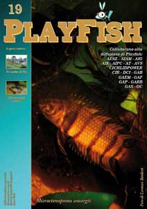 PlayFish